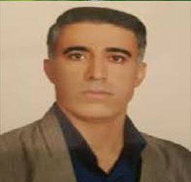 دکتر حسین محمدی